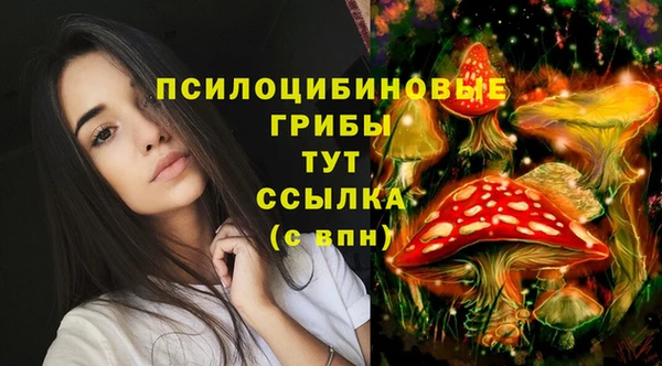 первитин Алексеевка