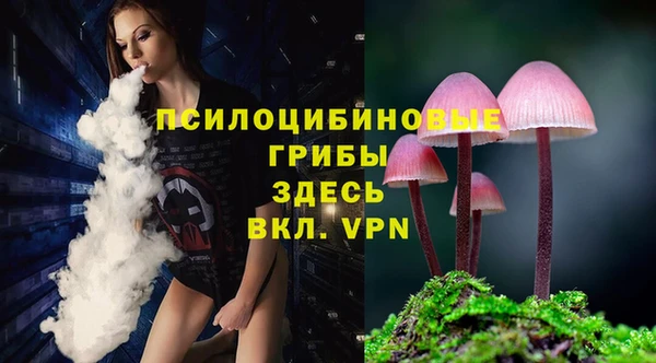 первитин Алексеевка
